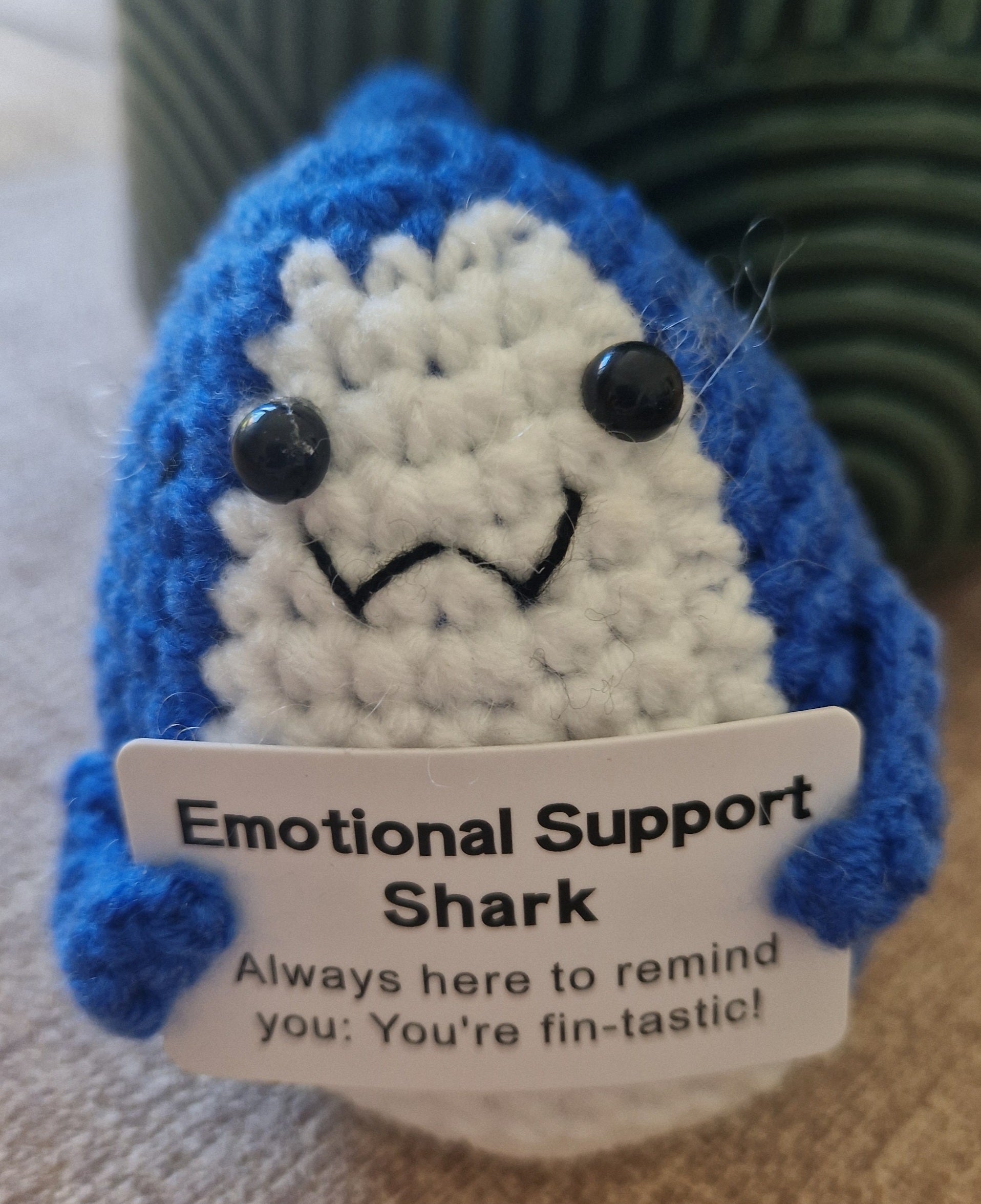 Crochet Pocket Hug | Positive Affirmation Plush Toy, Mental Health Support Gift